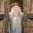 Is Dumbledore gay?